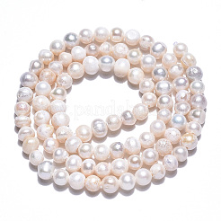 Natural Cultured Freshwater Pearl Beads Strands&nbsp;PEAR-N013-03E