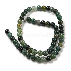 Natural Moss Agate Round Beads Strands&nbsp;G-S151-6mm
