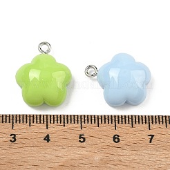 Opaque Resin Pendants&nbsp;RESI-C072-04