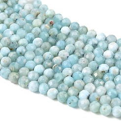 Natural Larimar Beads Strands&nbsp;G-K376-A03-4mm