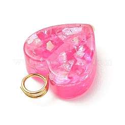 Transparent Resin Charms&nbsp;PALLOY-JF04450-02