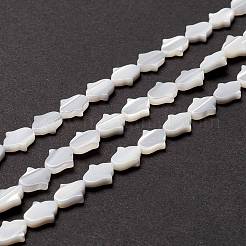 Natural Trochid Shell/Trochus Shell Beads&nbsp;SSHEL-O001-23A
