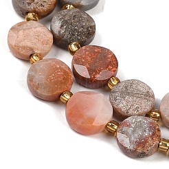 Natural Fossil Coral Beads Strands&nbsp;G-C116-A27-01