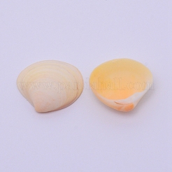 Natural Conch Shell Beads&nbsp;SSHEL-WH0003-01