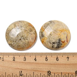 Natural Crazy Agate Cabochons&nbsp;G-C115-02B-23