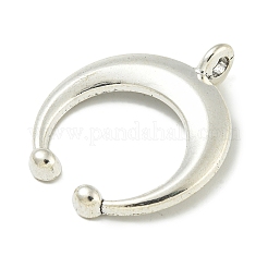 Alloy Pendants&nbsp;FIND-U015-38P