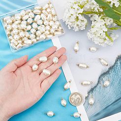 80Pcs 4 Style Acrylic Links & Pendants&nbsp;FIND-FH0003-09