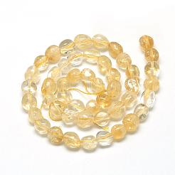 Natural Citrine Beads Strands&nbsp;G-R445-6x8-16