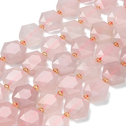Natural Rose Quartz Beads Strands&nbsp;G-L660-A04-01