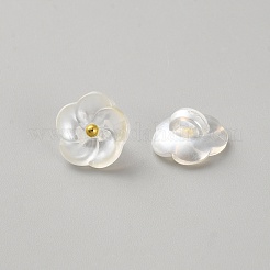 1-Hole Resin Shank Buttons&nbsp;AJEW-WH20048-01B