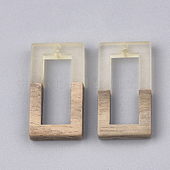 Resin & Walnut Wood Pendants&nbsp;LS-RESI-S358-10B