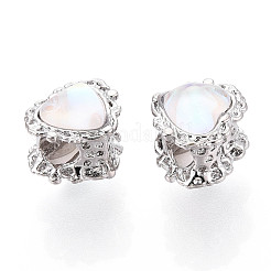 Alloy Glass European Beads&nbsp;FIND-N009-13P