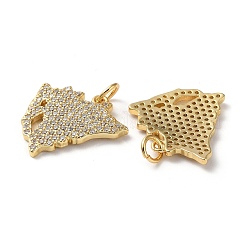 Rack Plating Brass Micro Pave Cubic Zirconia Pendants&nbsp;KK-M254-04G