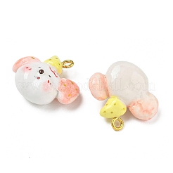 Handmade Polymer Clay Pendants&nbsp;PY-CBABDB7-05D