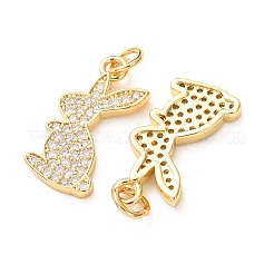 Brass Micro Pave Clear Cubic Zirconia Pendants&nbsp;CU-E003-18G-09