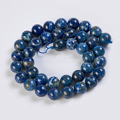 Natural Lapis Lazuli Beads Strands&nbsp;G-K254-01-12mm