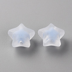 Transparent Acrylic Beads&nbsp;X-TACR-S152-02C-SS2113