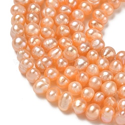 Natural Cultured Freshwater Pearl Beads Strands&nbsp;PA-CBAC463-04