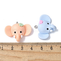 Opaque Resin Pendants&nbsp;RESI-V001-06