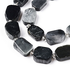 Natural Eagle Eye Stone Beads Strands&nbsp;G-T138-05