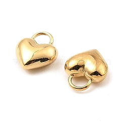 304 Stainless Steel Charms&nbsp;STAS-A089-29G