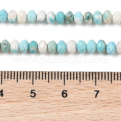 Natural Howlite Beads Strands&nbsp;G-H025-03D-09
