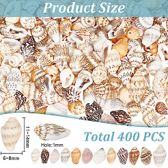 400Pcs Shell Beads&nbsp;BSHE-GO0001-05