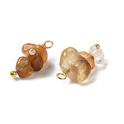 Natural Red Agate Pendants&nbsp;KK-P242-31G-01