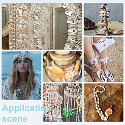 Natural Shell&nbsp;SSHEL-PH0001-36A