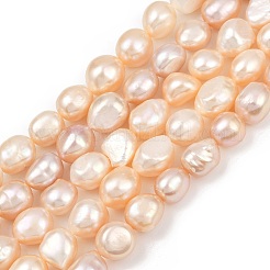 Natural Cultured Freshwater Pearl Beads Strands&nbsp;PEAR-P064-20L-04B