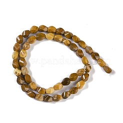 Natural Jade Beads Strands&nbsp;G-K362-F02-01