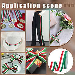 Polyester Braid Ribbon&nbsp;OCOR-WH0816-012B-1