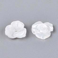 Natural White Shell Beads&nbsp;BSHE-T014-50