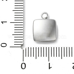 304 Stainless Steel Acrylic Pendants&nbsp;LS-STAS-M091-02D-P