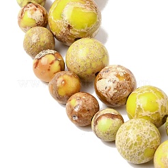 Natural Imperial Jasper Graduated Beads Strands&nbsp;G-A323-C03-01D