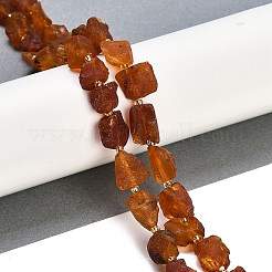 Raw Rough Natural Amber Beads Strands&nbsp;G-B125-C01-01