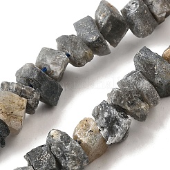 Natural Labradorite Beads Strands&nbsp;G-I283-F14