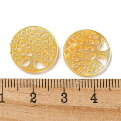 Natural Yellow Shell Cabochons&nbsp;SSHEL-N038-02C