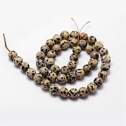 Natural Dalmatian Jasper Beads Strands&nbsp;G-D840-49-8mm