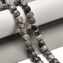 Natural Map Stone/Picasso Stone/Picasso Jasper Beads Strands&nbsp;G-H078-C07-01