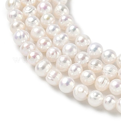 Natural Cultured Freshwater Pearl Beads Strands&nbsp;PEAR-C004-01