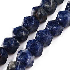 Natural Sodalite Beads Strands&nbsp;G-T138-41