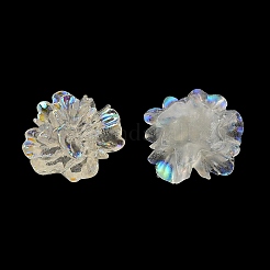 Transparent Resin Cabochons&nbsp;RESI-E049-01