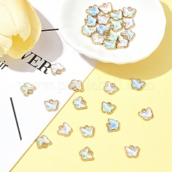 30Pcs Alloy Glass Charms&nbsp;FIND-FS0002-79
