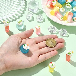 30Pcs 5 Styles Resin Cool Drink Miniature Display Decorations&nbsp;DJEW-CJ0001-21