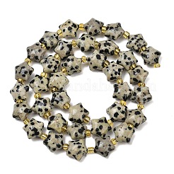 Natural Dalmatian Jasper Beads Strands&nbsp;G-Z080-A08-10mm