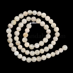 Natural White Moonstone Beads Strands&nbsp;G-C277-A01-6mm