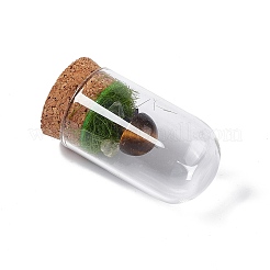 Natural Tiger Eye Mushroom Display Decoration with Glass Dome Cloche Cover&nbsp;G-E588-03F
