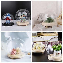 High Borosilicate Glass Cloche Globe Display Dome&nbsp;ODIS-F007-01B