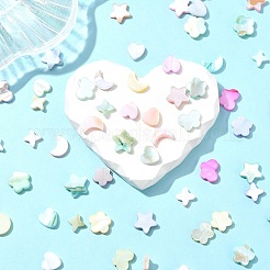 60Pcs 6 Styles Macaron Color Natural Shell Dyed Beads&nbsp;BSHE-CJ0001-13